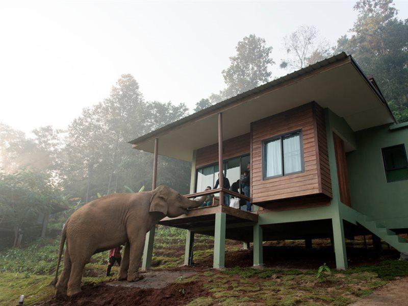 Chiang Mai Elephant Friends Екстер'єр фото